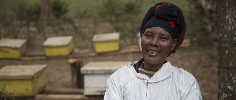 Photo: Farm Africa / Jon Spaull