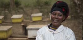 Beekeeping in the Nou Forest