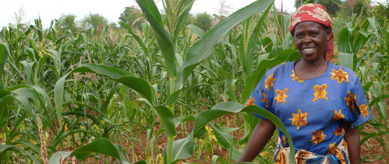 Jedida Mbuvi showing off crops she grew using new techniques taught by Farm Africa.