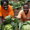 Farm Africa staff take up new Africa-UK agricultural scholarships  