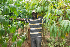 Nguuzi with his flourishing crops.