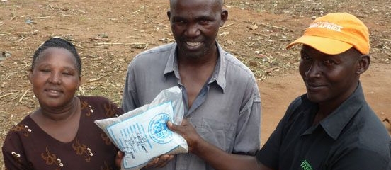 Harvest time has arrived in Kitui, eastern Kenya