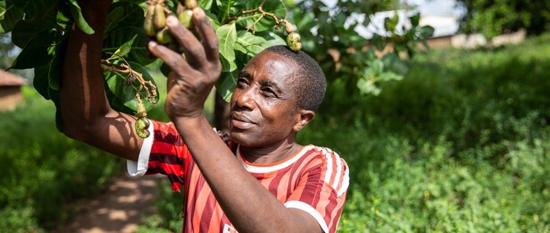 Farm Africa / Kevin Ouma 