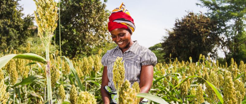 Agneta Mbithe, 25, tends to Sorghum crops in Kivumbuni, Kitui county