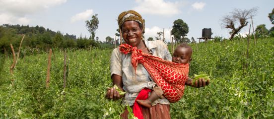 Youth groups make huge returns from snow peas harvest