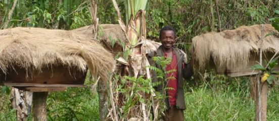 Saving forests, changing lives