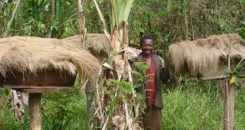 Saving forests, changing lives