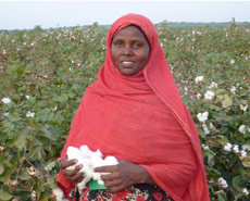 Hawa holds cotton she grew on land cleared of Prosopis