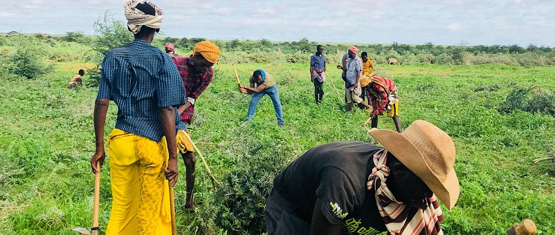 Photo: Farm Africa / Abdiwali Mohamed