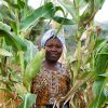 New Farm Africa project to help boost grain trade across eastern Africa