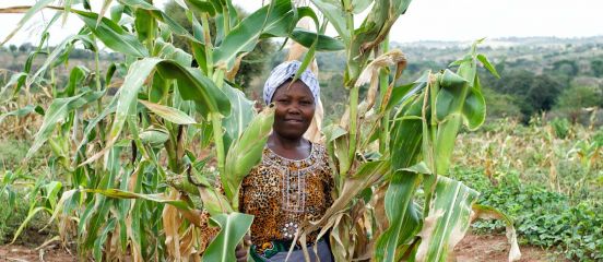 New Farm Africa project to help boost grain trade across eastern Africa