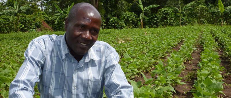 Baale George, a community seed farmer who produces disease-resistant bean seeds for sale in his community.