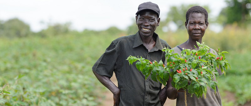 Photo: Farm Africa / Jjumba Martin