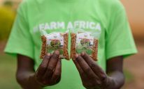 Donate Chilli Appeal